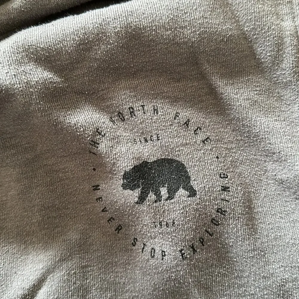 The North Face | Mens Pullover Hoodie Size L